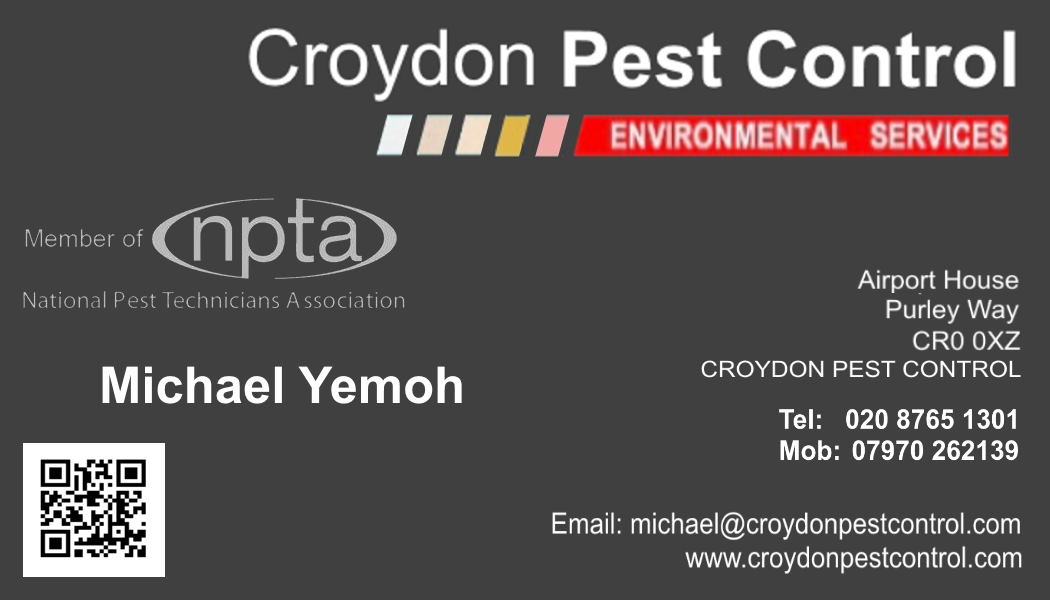 Croydon Pest Control