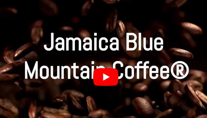 Jamaica Blue Mountain Coffee Promo